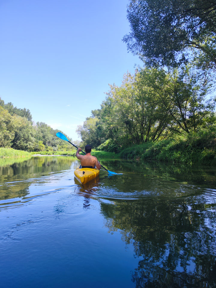 Traisen - Paddeltour durch die Donauauen (sehr beliebt) - Boatcamper