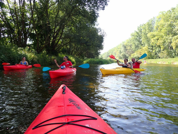 Traisen - Paddeltour durch die Donauauen (sehr beliebt) - Boatcamper